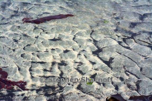 debris pattern 3730 5 graphic